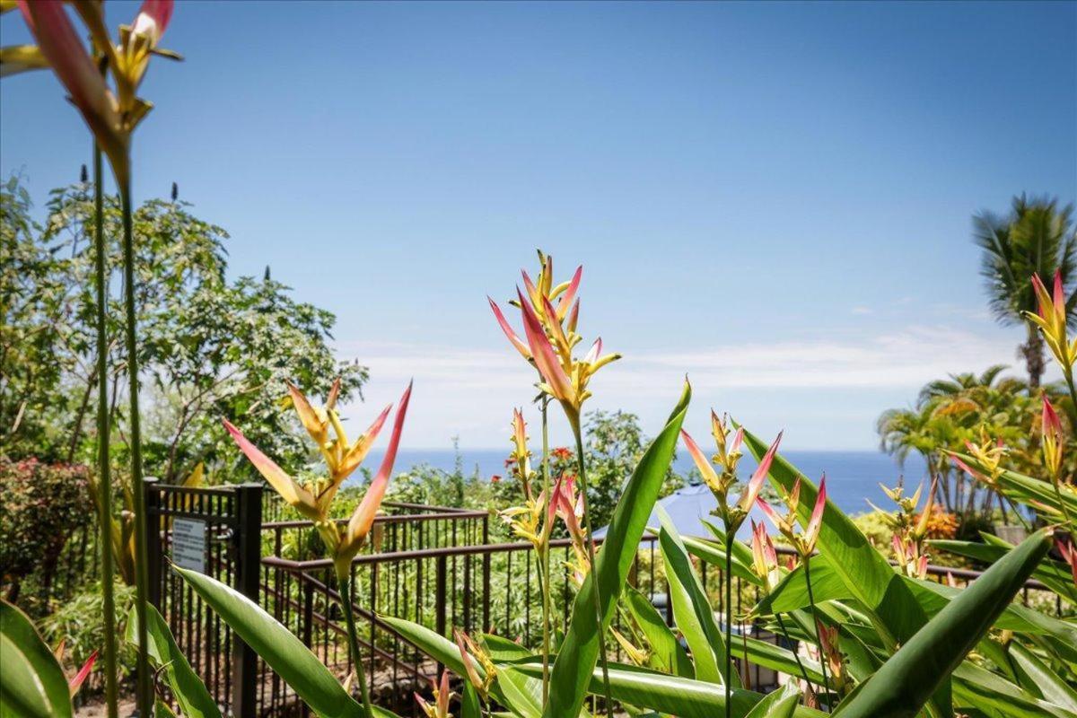 Kona Westwind 1 New! Quiet Ocean-View 1St Floor | Patio | Pool Kailua-Kona Exterior foto