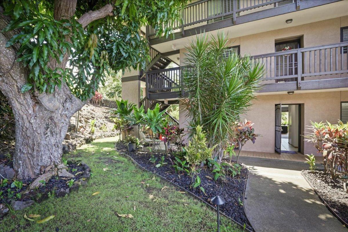 Kona Westwind 1 New! Quiet Ocean-View 1St Floor | Patio | Pool Kailua-Kona Exterior foto